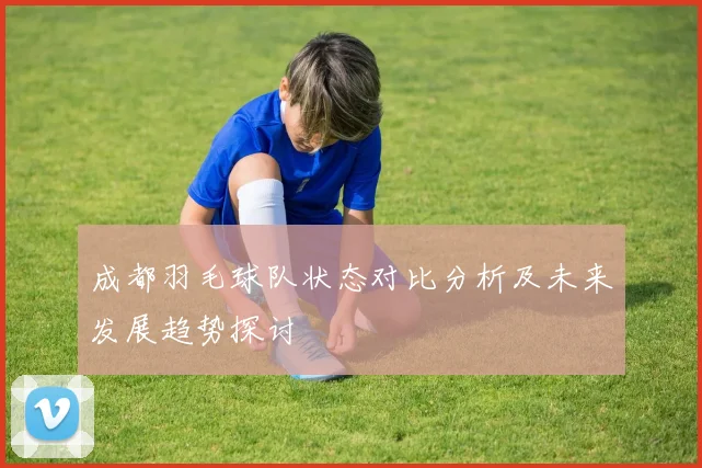 成都羽毛球队状态对比分析及未来发展趋势探讨